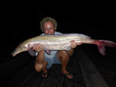 lake volta fish